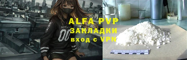 твердый Бородино