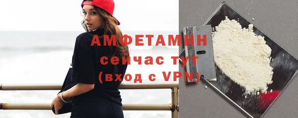 твердый Бородино