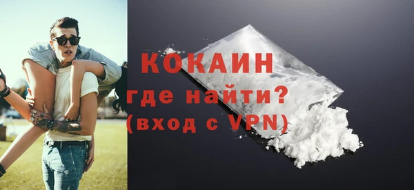 твердый Бородино