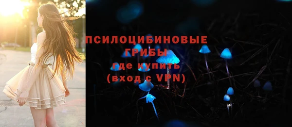 МДПВ Протвино