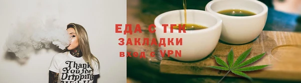 твердый Бородино