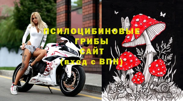 молекула духа Бугульма