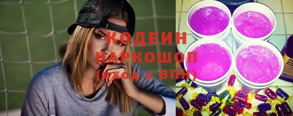 твердый Бородино