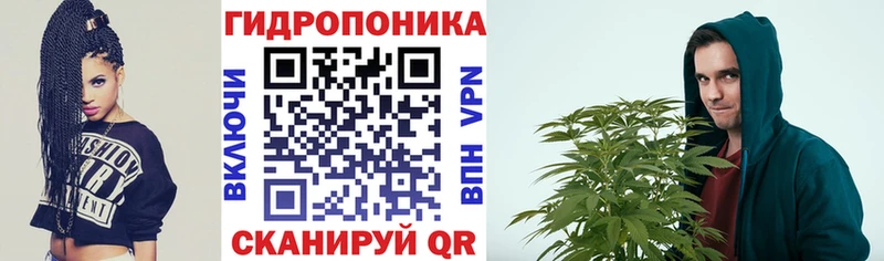 Конопля White Widow  купить наркотики цена  Саратов 